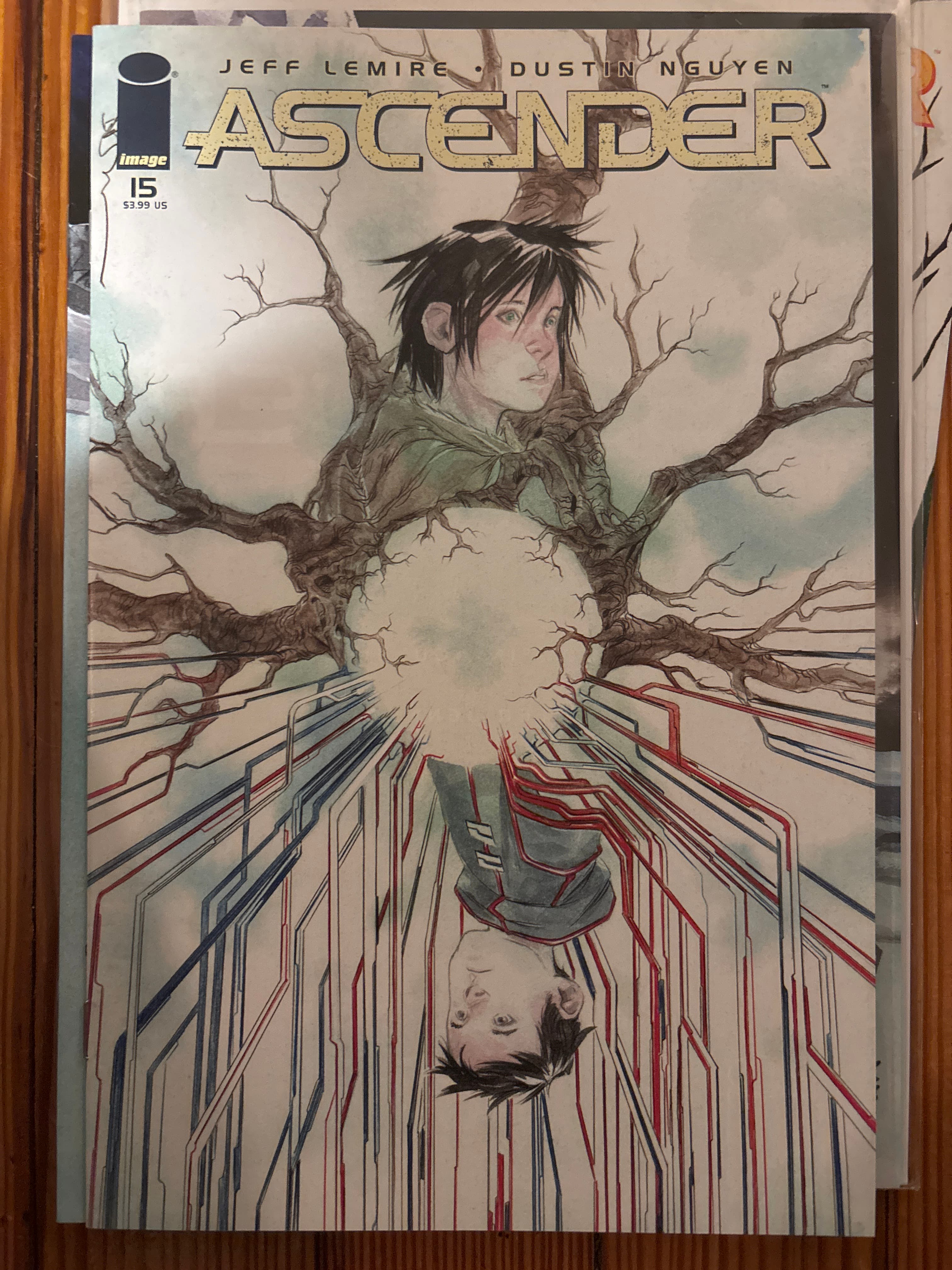 Cover of Ascender (2019) #15